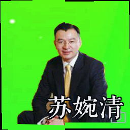 苏婉清